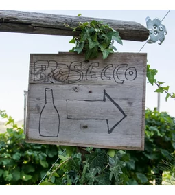 DOCG Prosecco – Mit jelent valójában?
